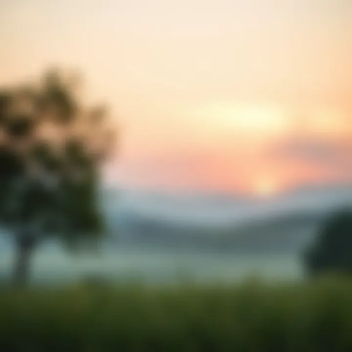 The Importance of Peaceful End-of-Life Planning A serene landscape symbolizing peace and reflection