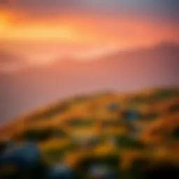 A visual representation of current interest rates on savings accounts