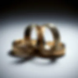 Elegant wedding rings symbolizing commitment and financial planning