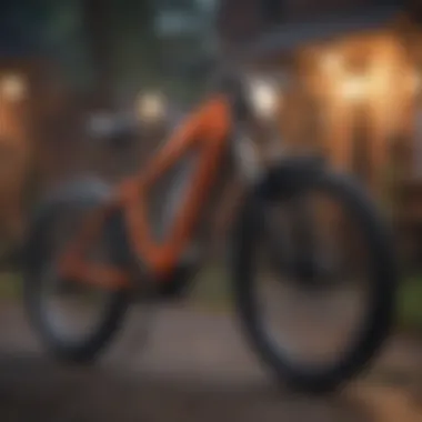 Factors influencing e-bike insurance premiums