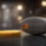 Exploring Credit Options Exploring credit options for individuals without a history