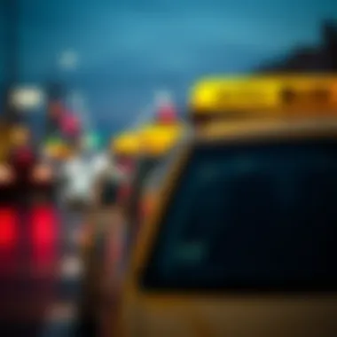 An overview of various shuttle taxi providers in the area.