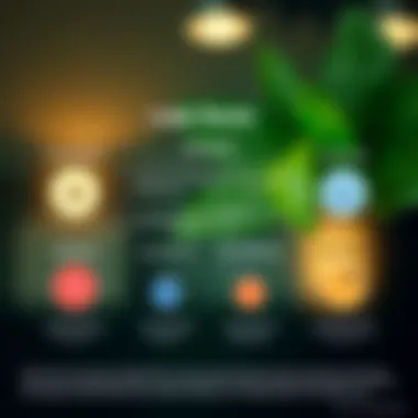 Infographic illustrating loan terms and conditions