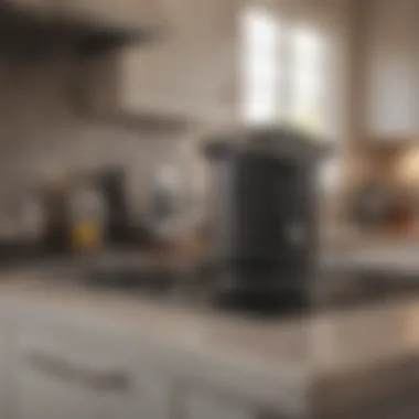 Energy-Efficient Kitchen Appliance An energy-efficient appliance in a home kitchen