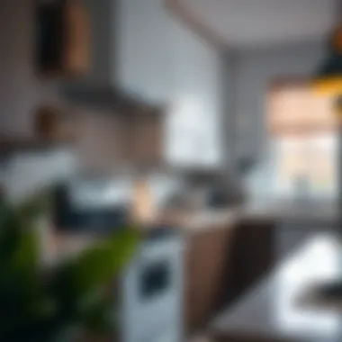 Energy-efficient appliances in a modern kitchen