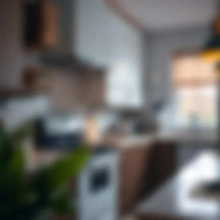 Energy-efficient appliances in a modern kitchen