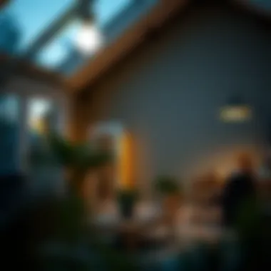 Home lighting solutions for reduced energy use