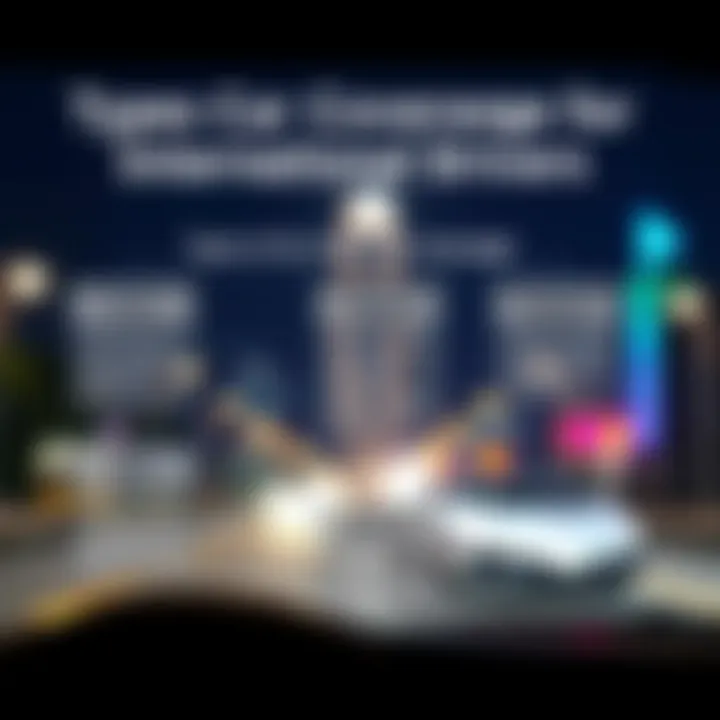 Types of Coverage for International Drivers An infographic illustrating types of car insurance coverage