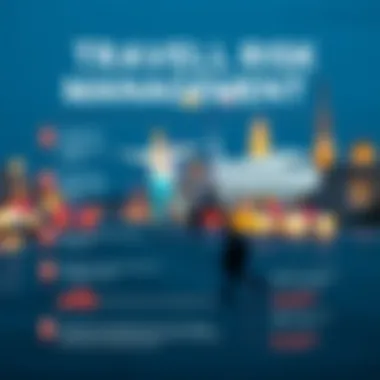 Infographic on travel risk management strategies