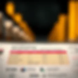 Detailed infographic showing different APR types