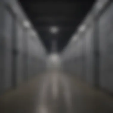 Exploring a Secure Storage Facility A secure storage facility showcasing multiple storage units