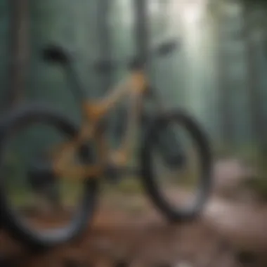 An infographic showing average mountain bike insurance costs