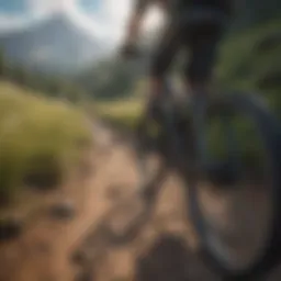 A scenic mountain trail ideal for biking