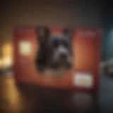 Illustration of a pet credit card with a pet silhouette